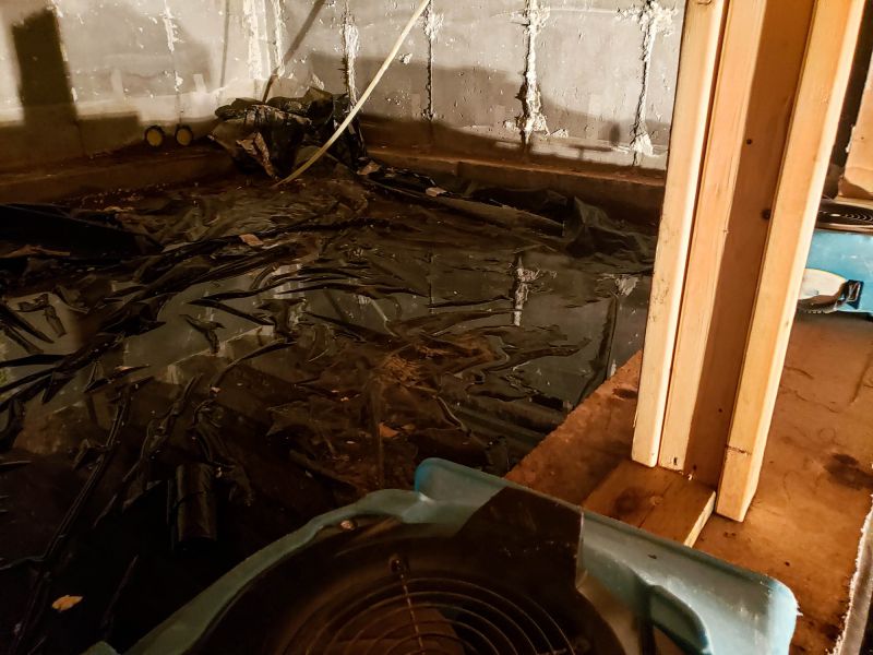 Basement Dehumidifier Service in Columbus, OH